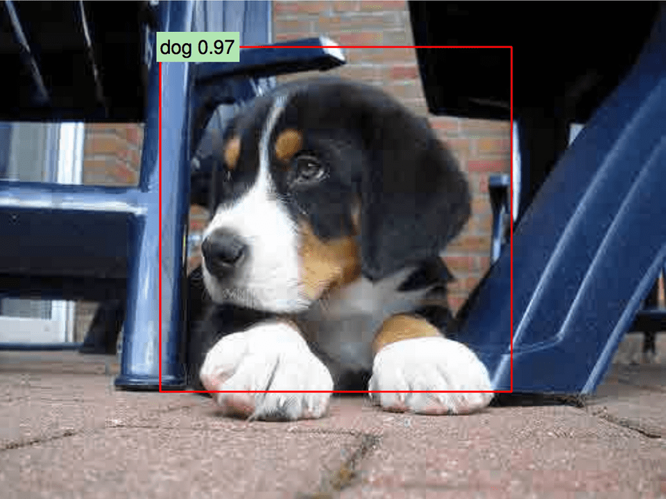 Fast region proposal with convolutional neural networks cute dog cover