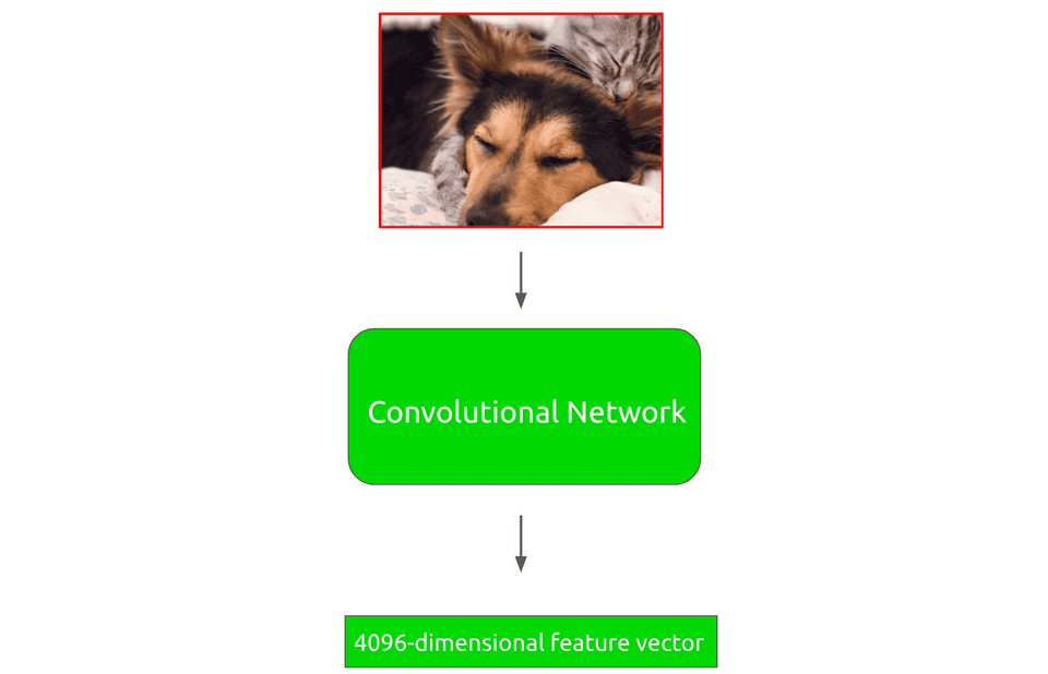 Region proposal through convolutional neural network
