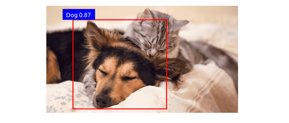 scored dog region proposal for object detection