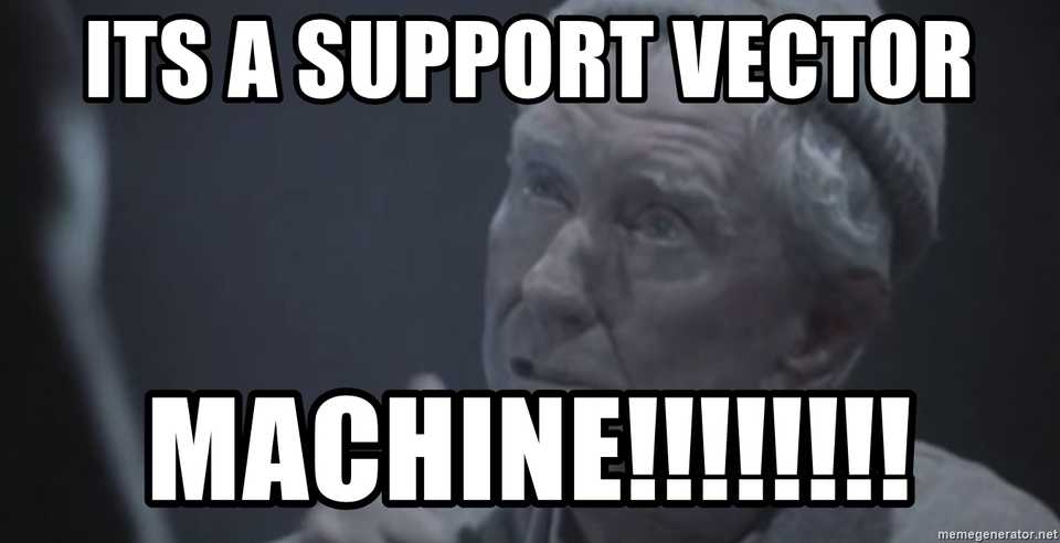 it's a support vector machine!