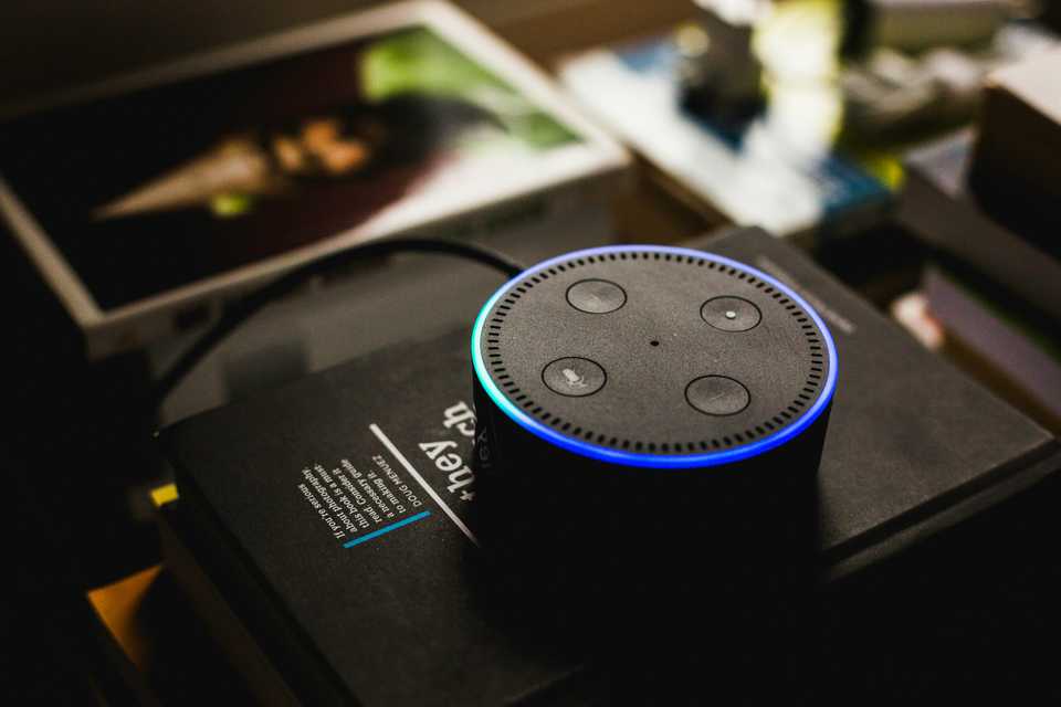 voice assistant