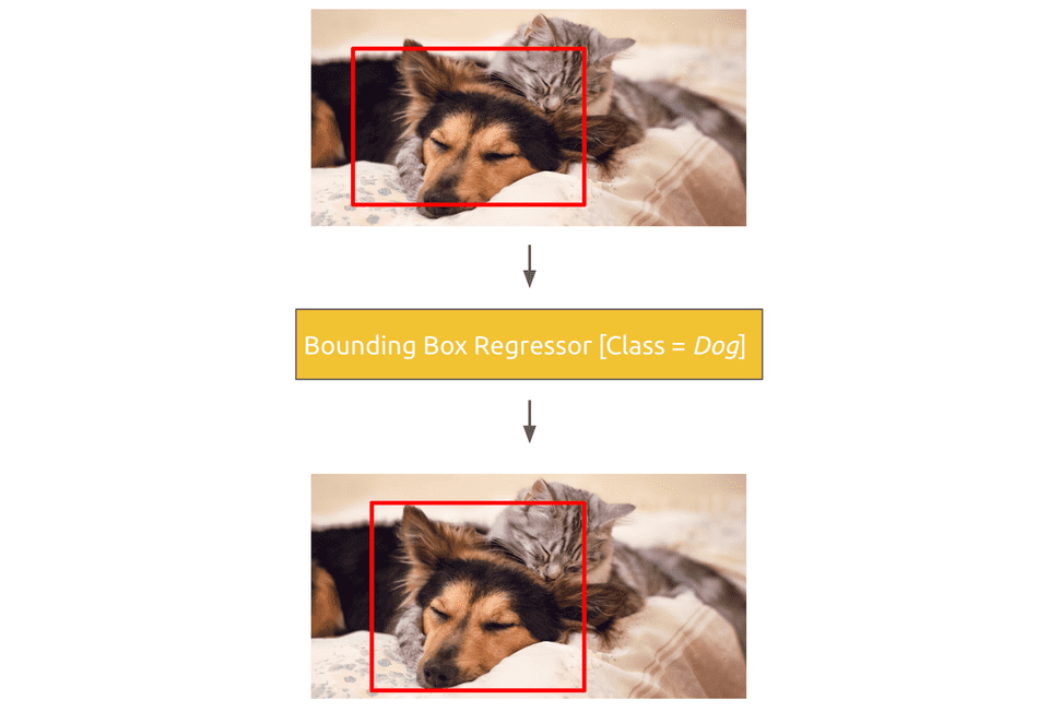class specific bounding box regressor for dog