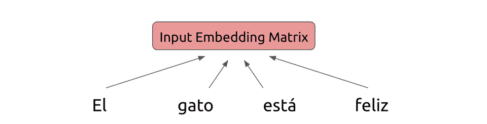 Input embedding matrix of transformer model