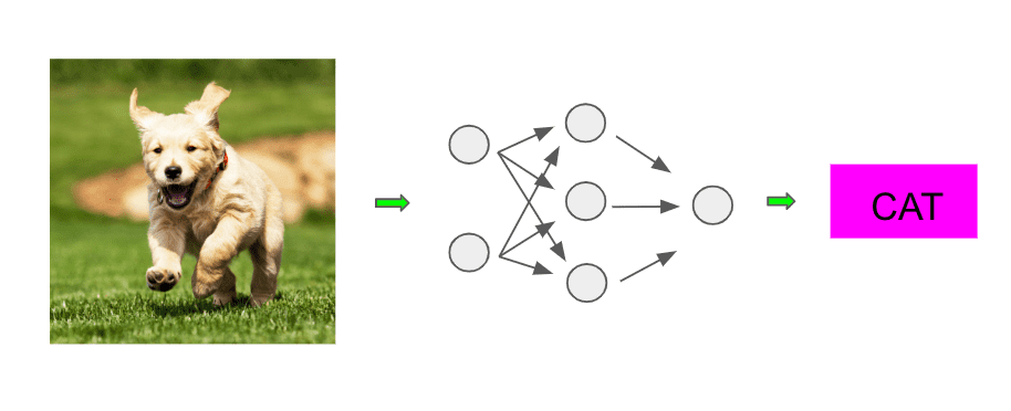 Neural network incorrect classification diagram
